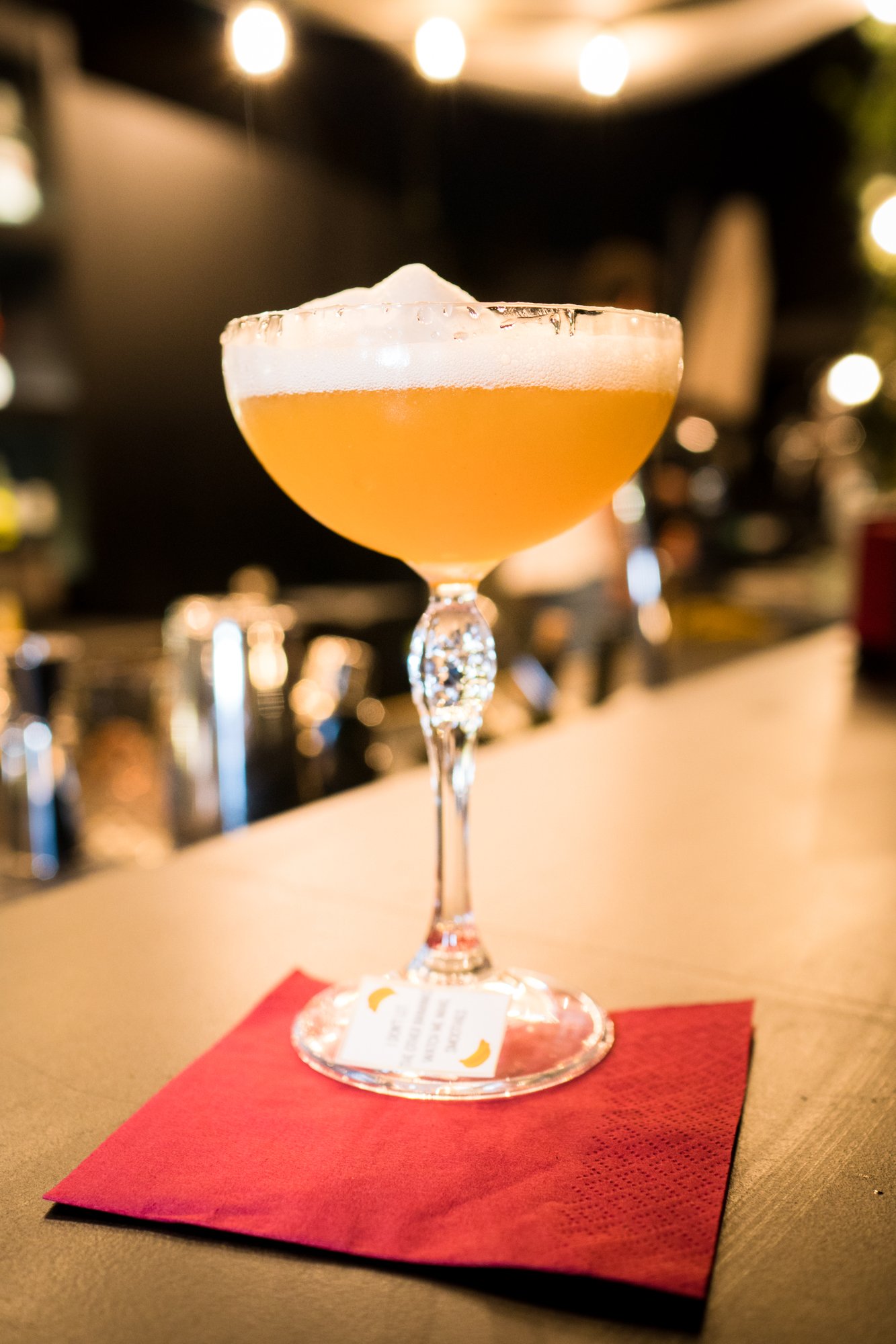 Gatsby , IL GIARDINO MAGICO NEL CUORE DI PONTE MILVIO!